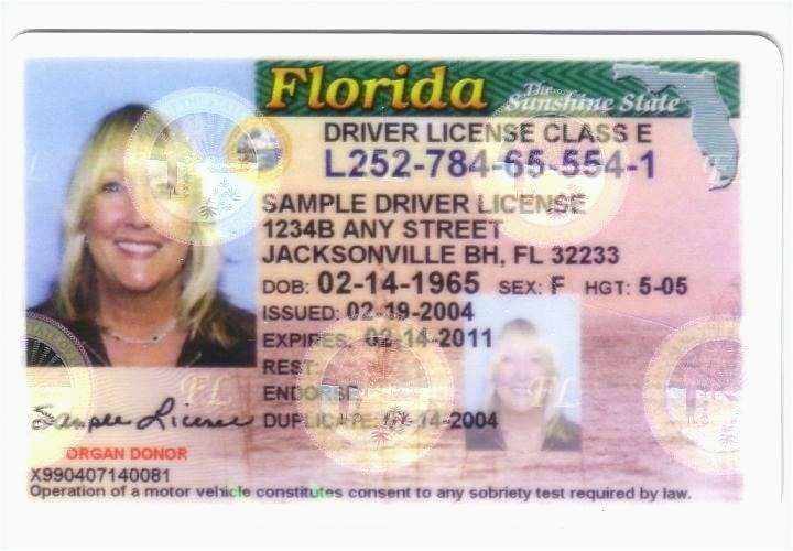 florida-id-template-florida-fake-drivers-license-trackergasm